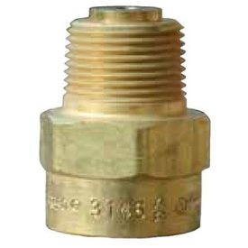   """Visszacsapó szelep 11/4"""" NPT k. x 11/4"""" NPT b., PN 25"""